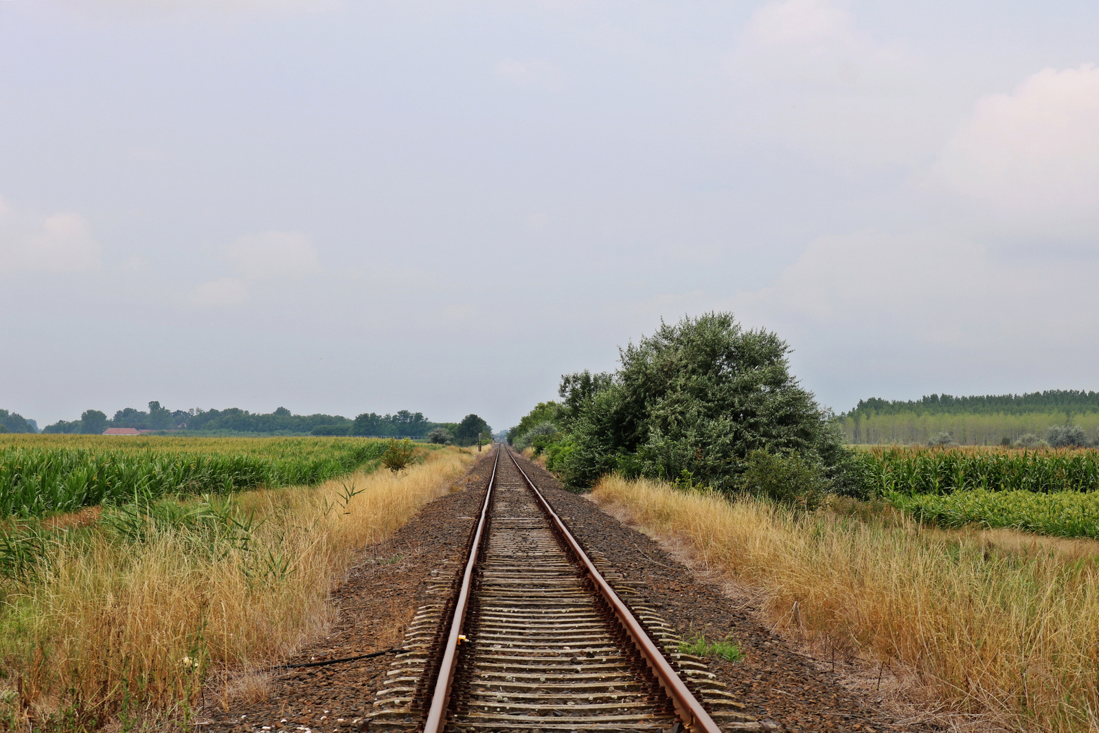 276 Röszke