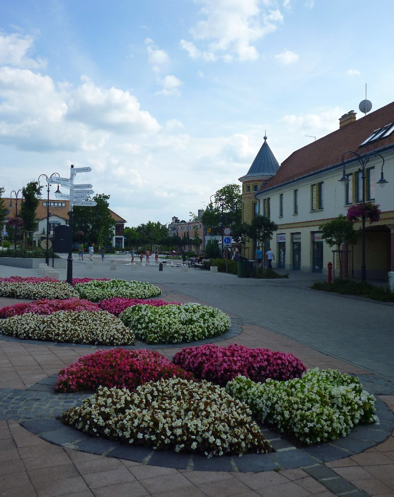 Gábor Áron utca virágai