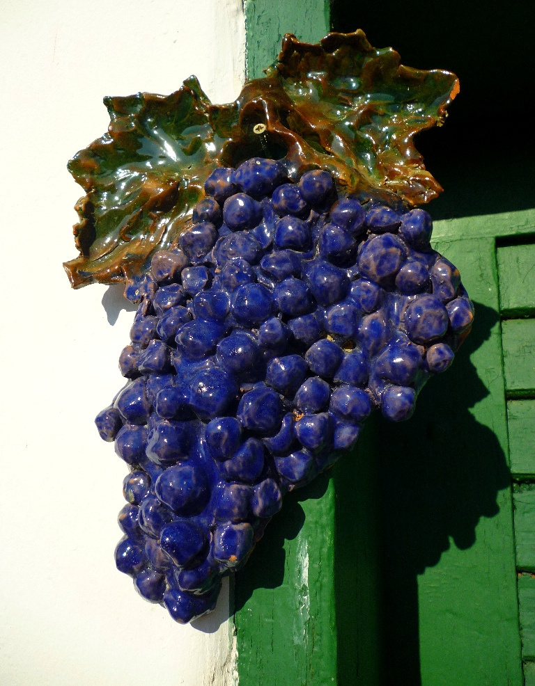 Szögre szőlő