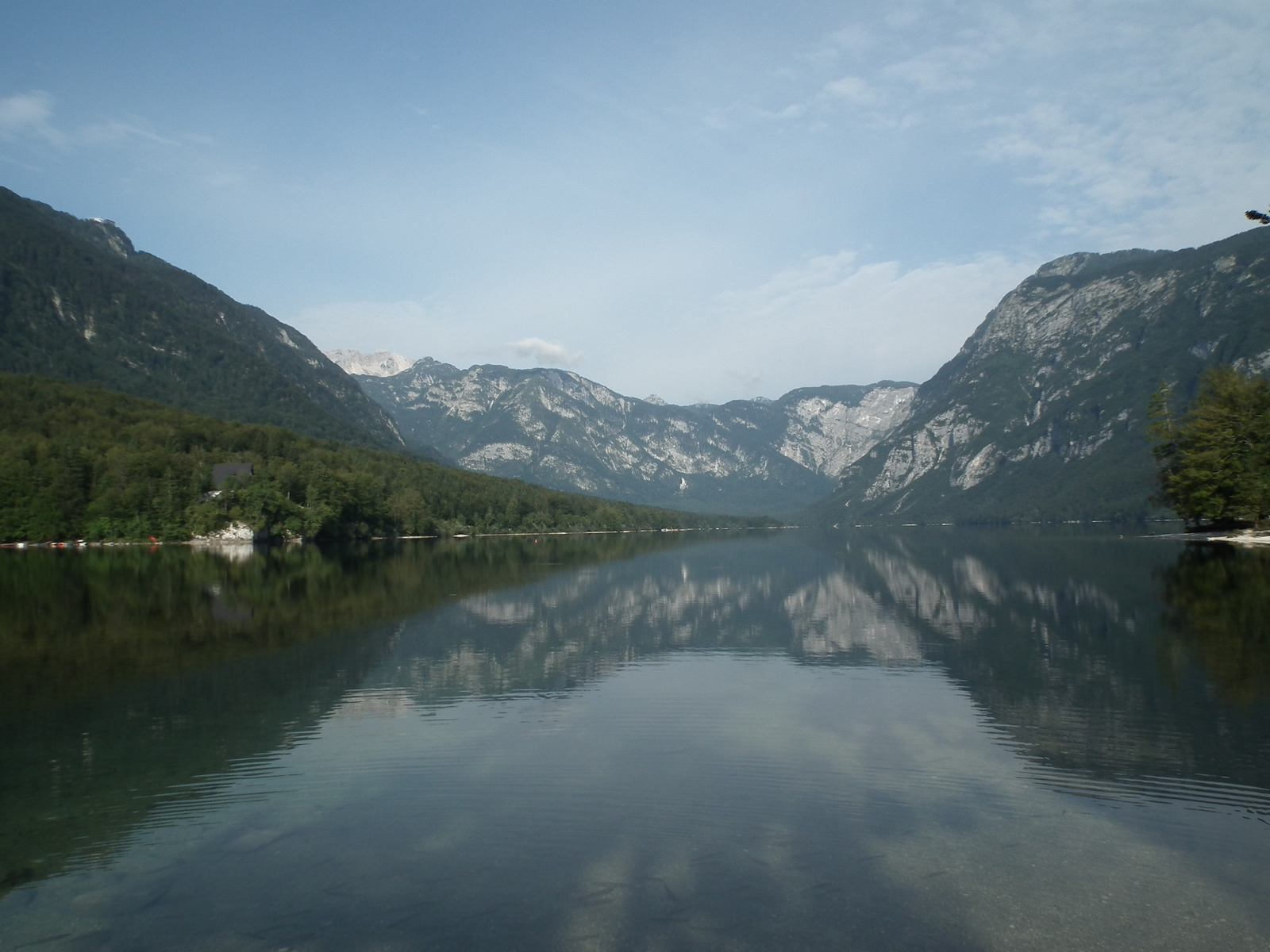 Bohinj-i tó