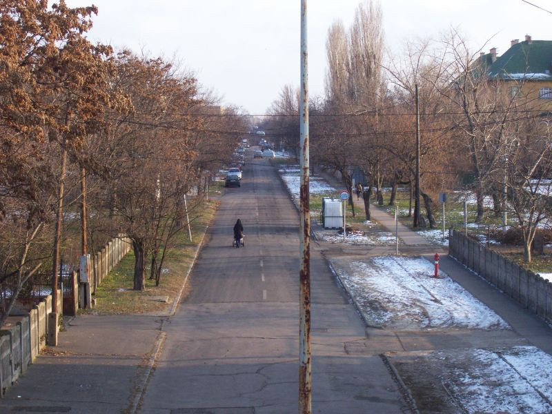 MÁV-telep, Szent Korona utca