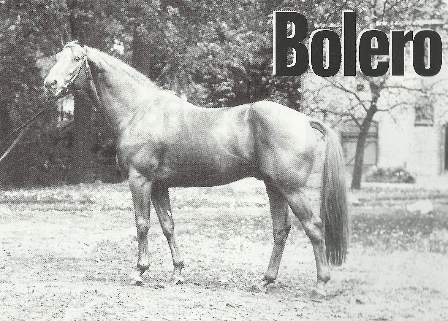 BOLERO