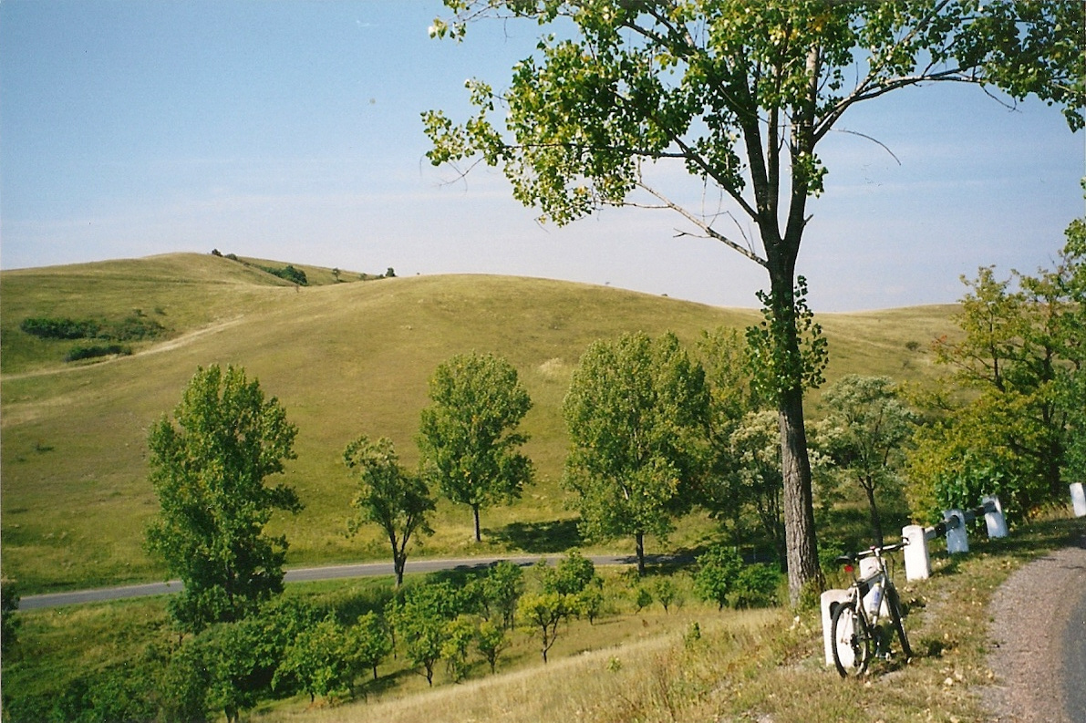 Cseres-völgy 2003