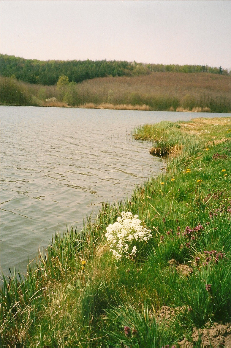 Kistolmács tópart 2003