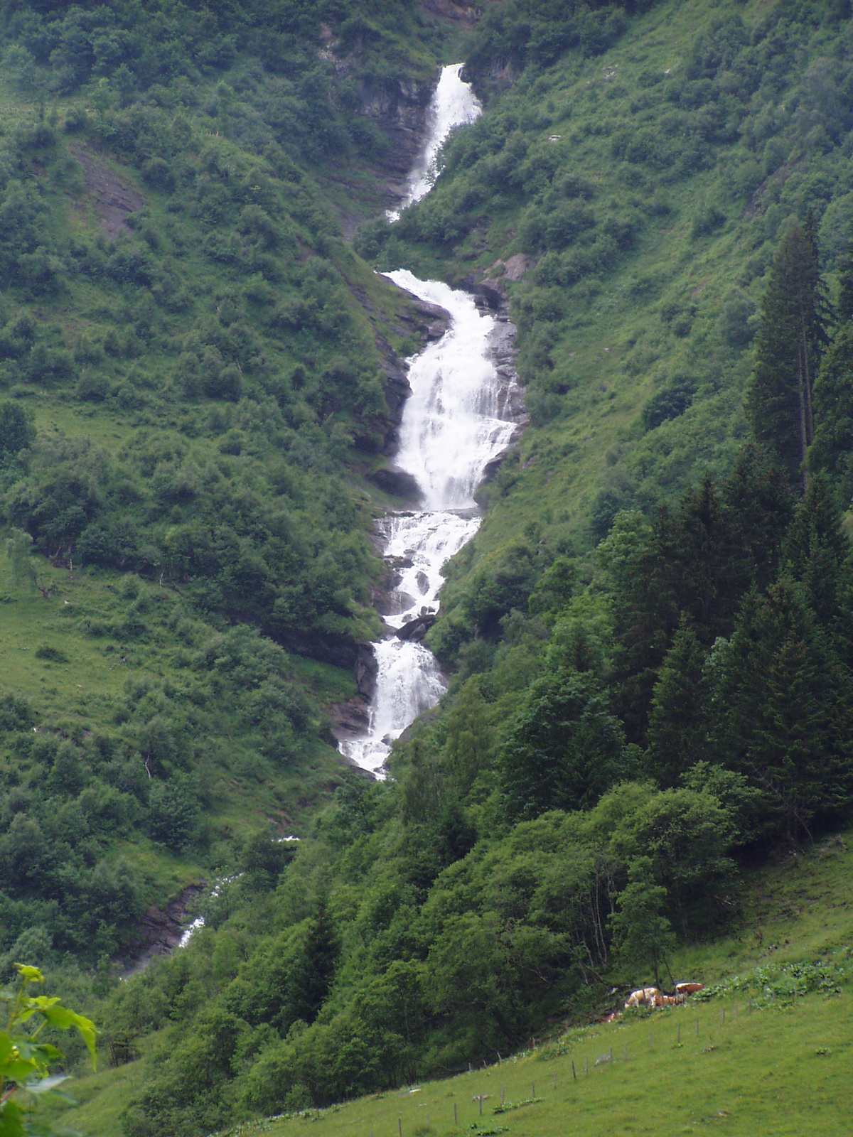 Hohe Tauern Nemzetipark 2008