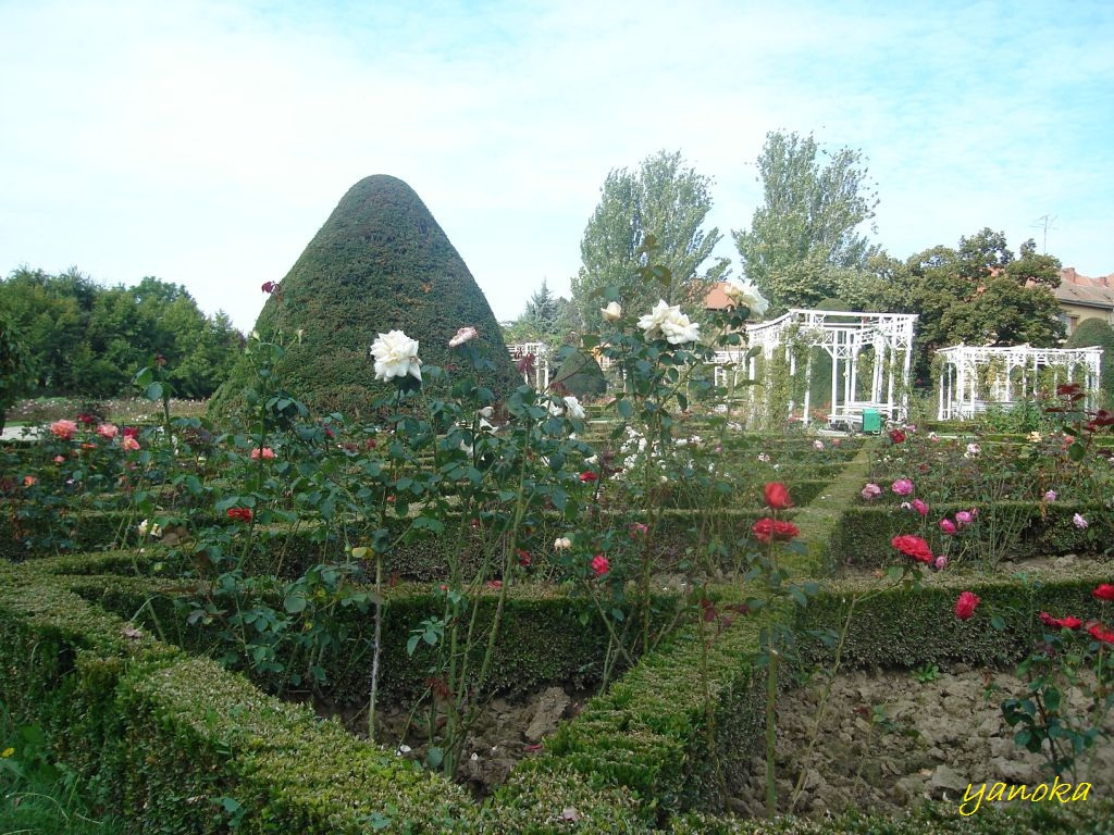 Rózsapark 1
