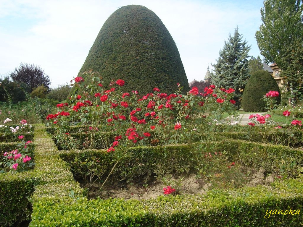 Rózsapark 2