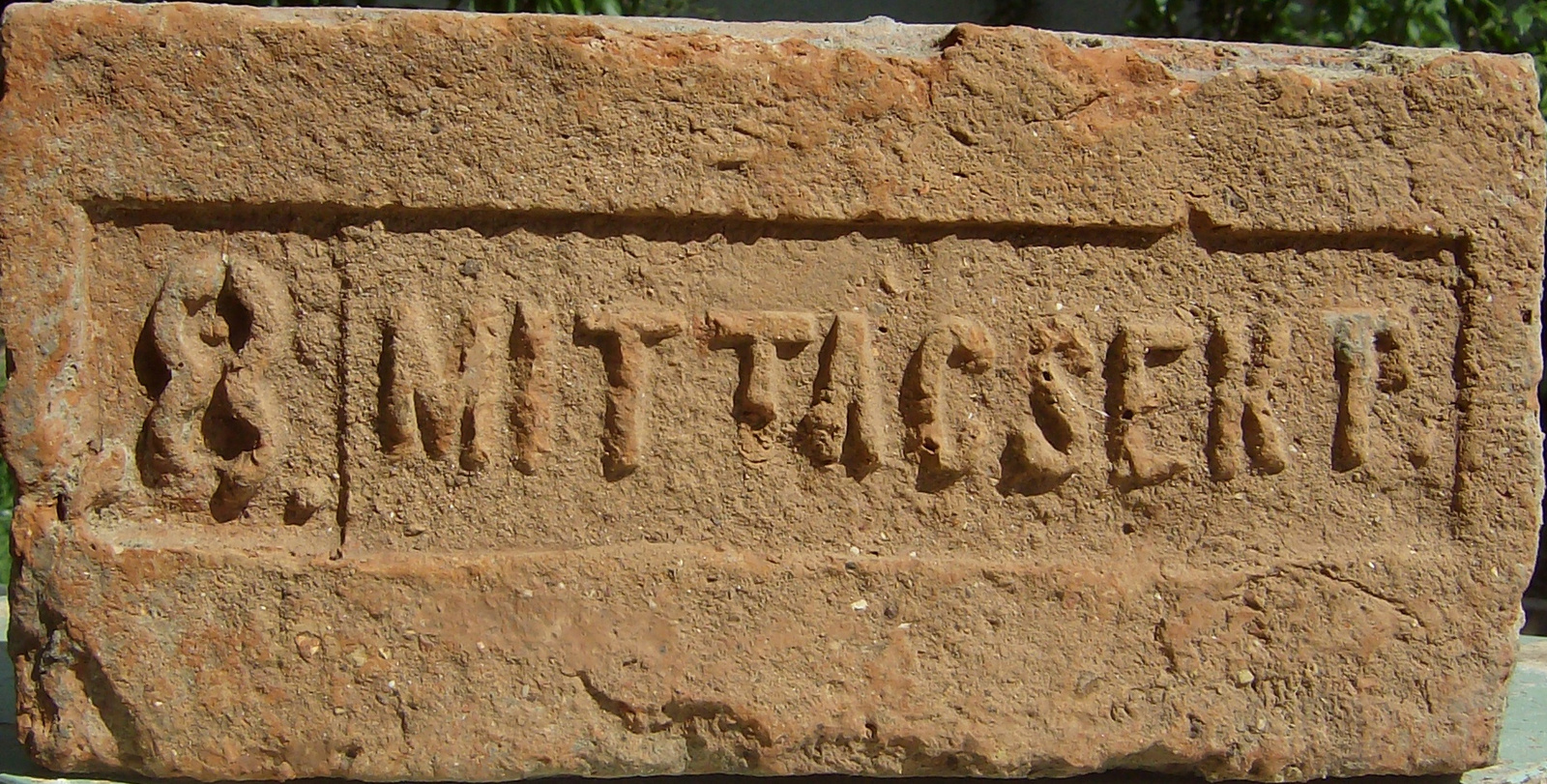 Mittacsek 8