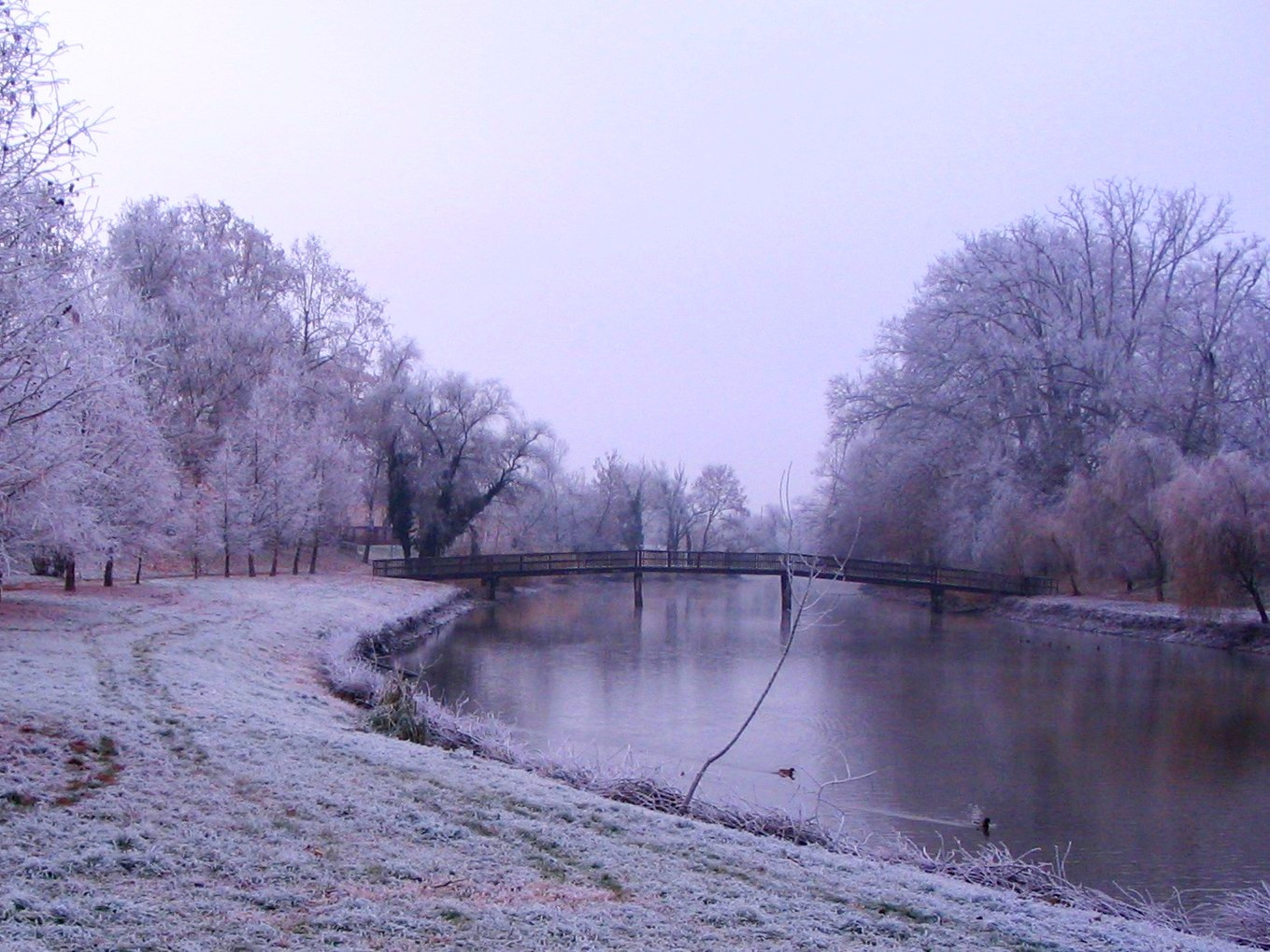 Tél,2012.