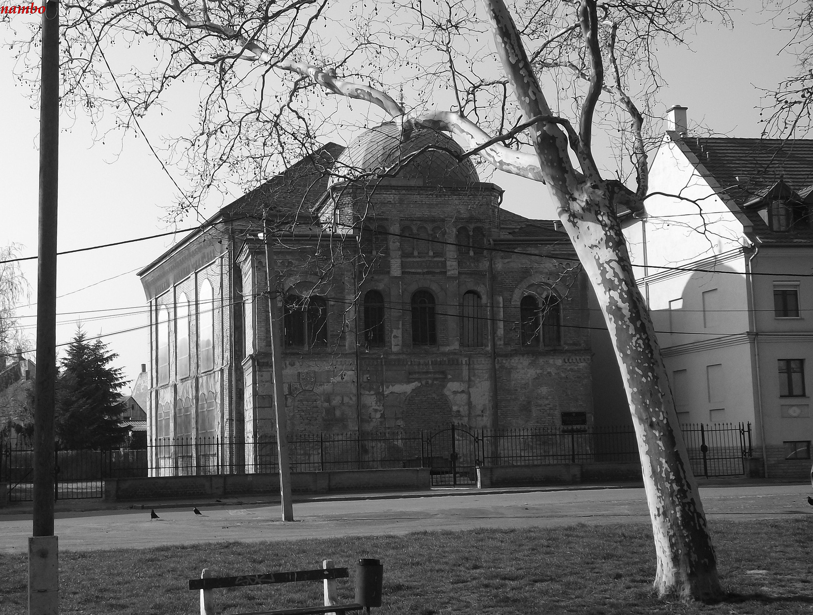Ortodox Zsinagoga Pap rét