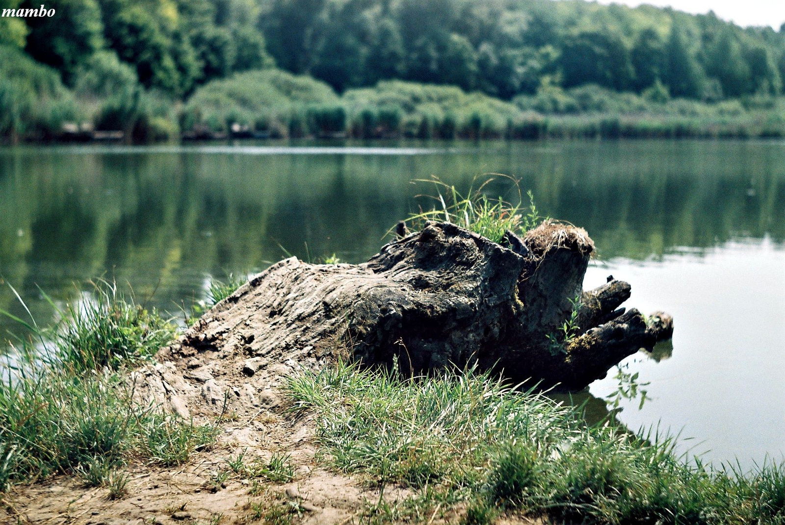 Vizparton.Kis Tómalom.