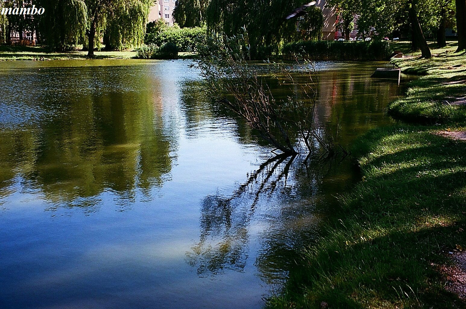 Ibolya tó.