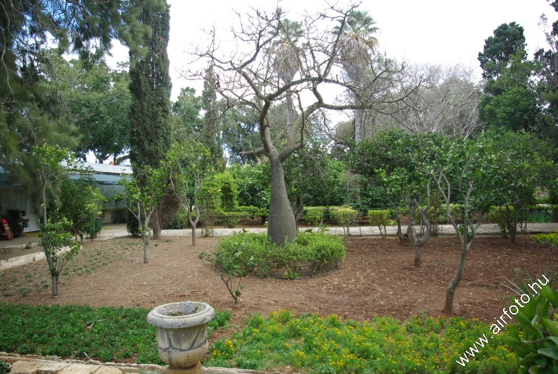 San Anton Garden