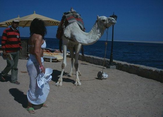 Hurghada 004