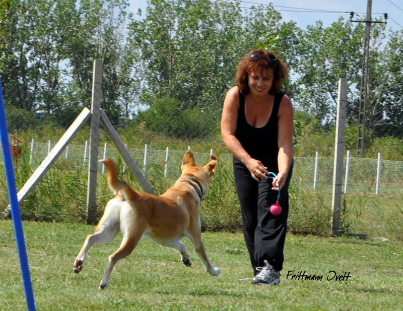 Flyball szemi (84)