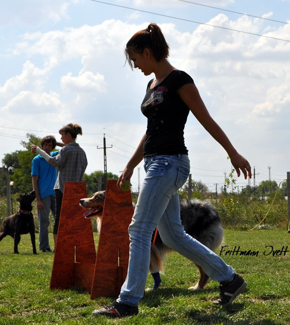 Flyball szemi (182)