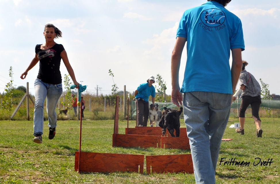 Flyball szemi (323)