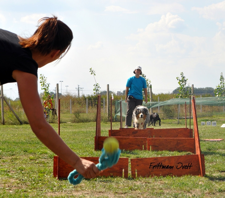 Flyball szemi (325)