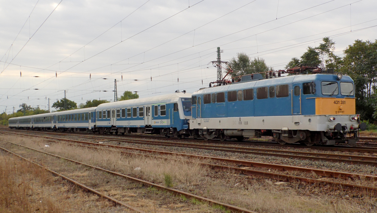 431 351 (Szili)