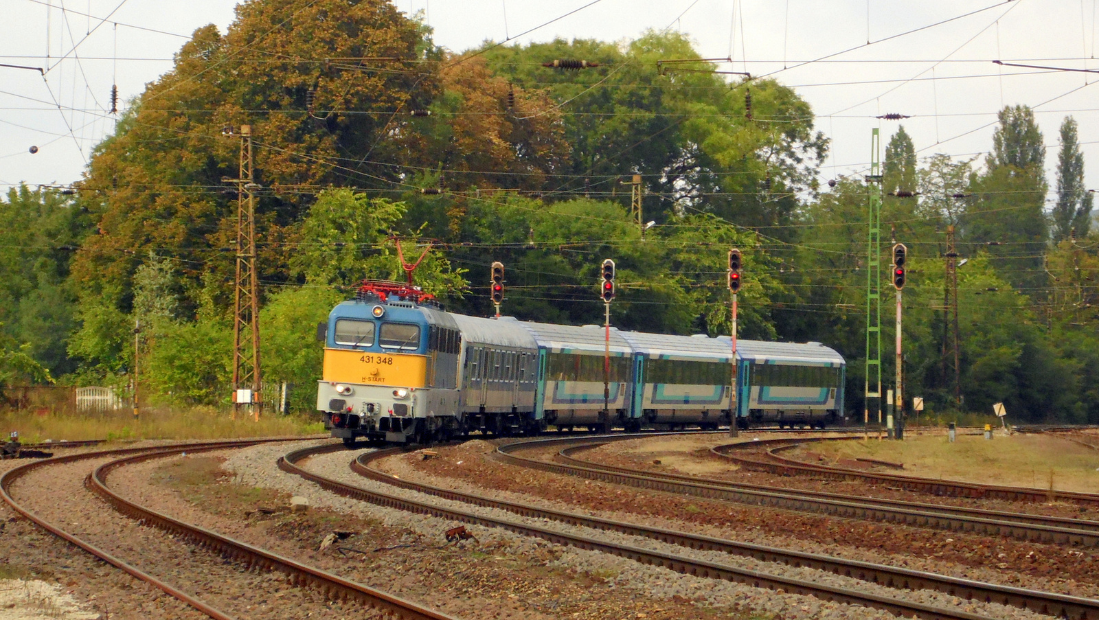 431 348 (Szili)