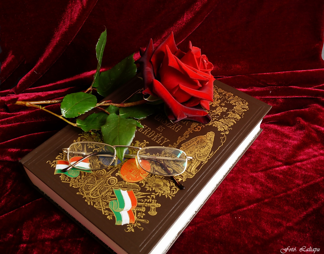Könyv rózsával