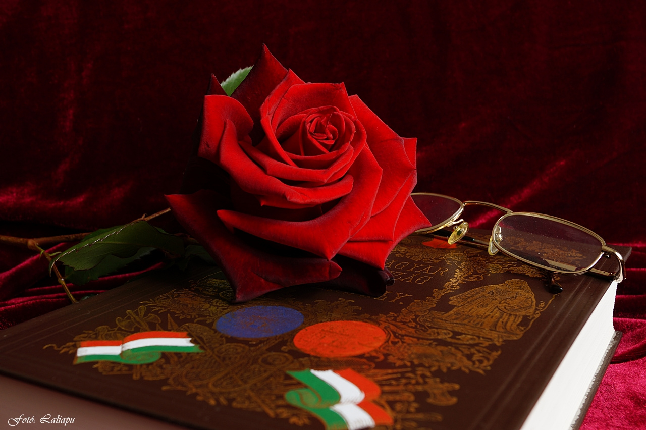 Könyv rózsával...