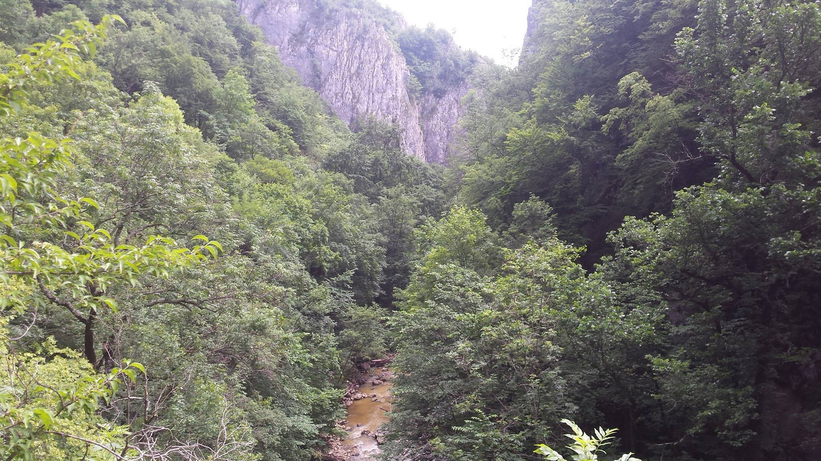 Kilátás a Pionirok ösvényéről/Vargyas-kanyon/