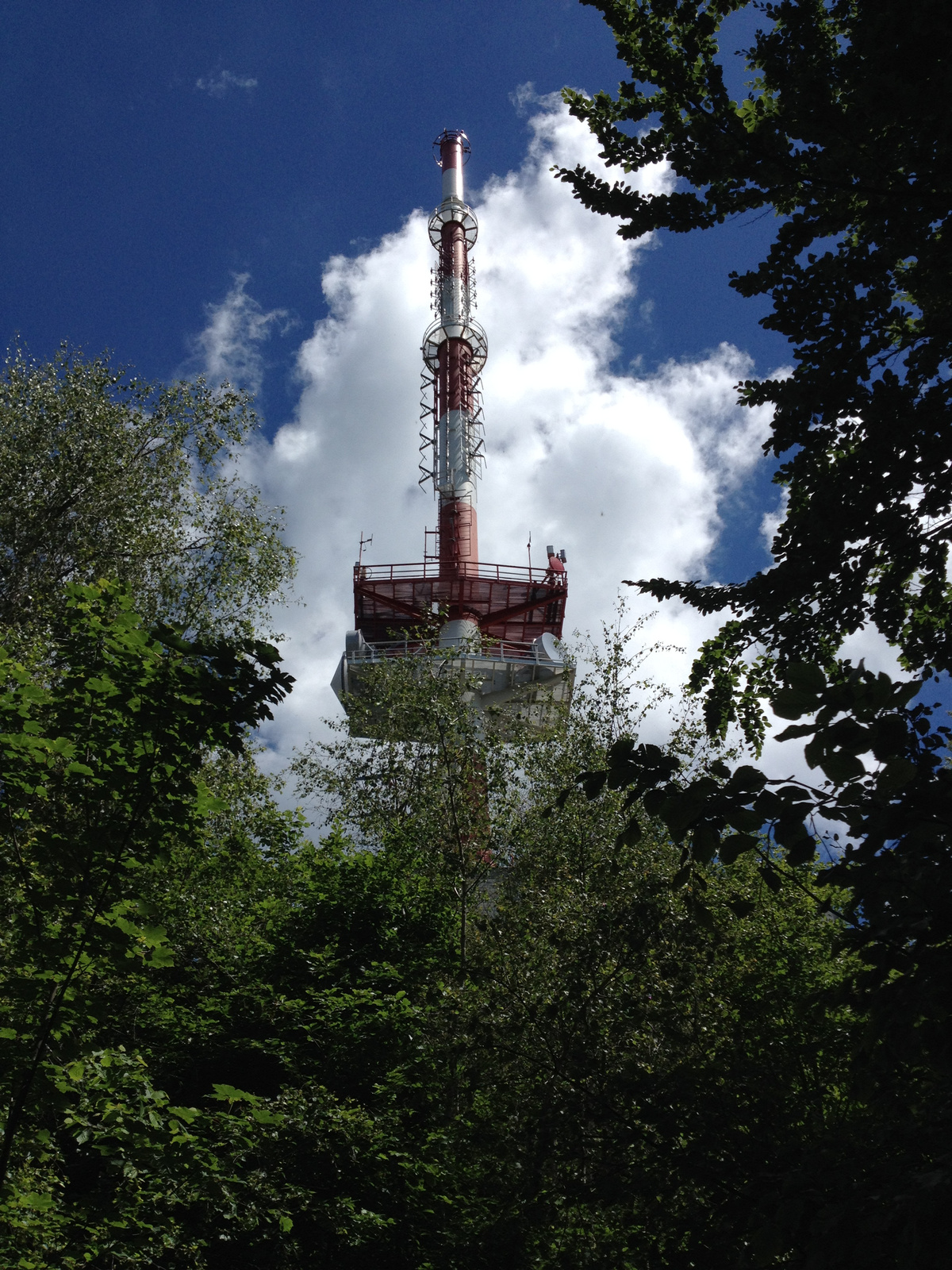 IMG 3415 90 m magas TV-torony a Große Hirschenstein (Nagy Szarva