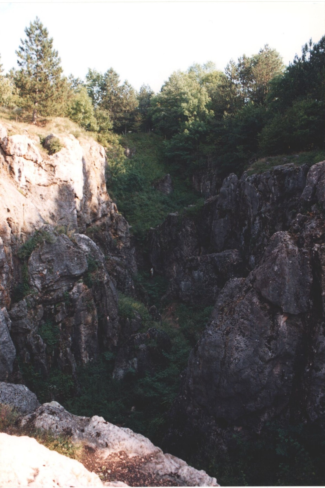 177 A 100 millió éves Csárda-hegyi Őskarszt, Úrkút 2003-08-23