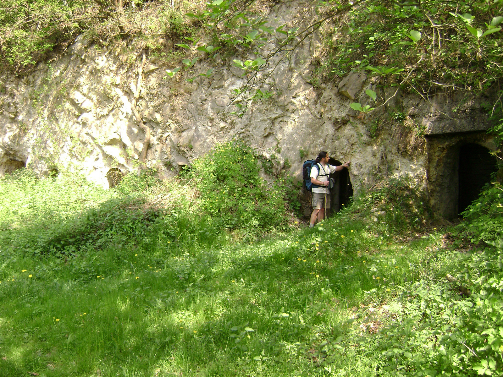 355 Bózsva riolittufa sziklákba vájt pincéi