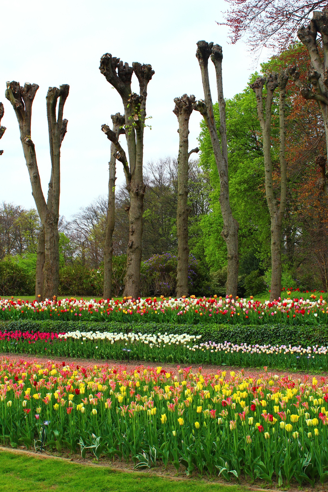 Floralia Bruxelles, Chateau de Grand-Bigard