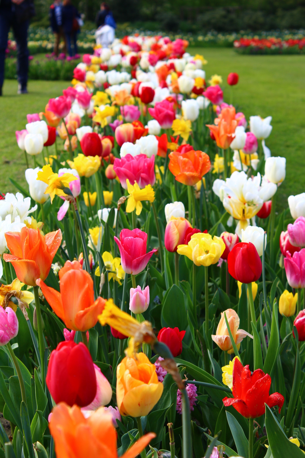 Floralia Bruxelles, Chateau de Grand-Bigard