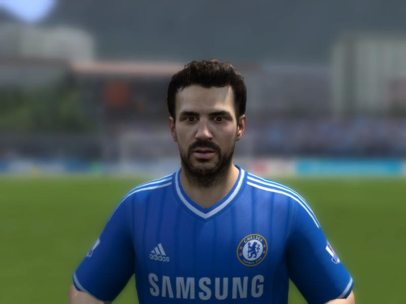 Chelsea Fabregas