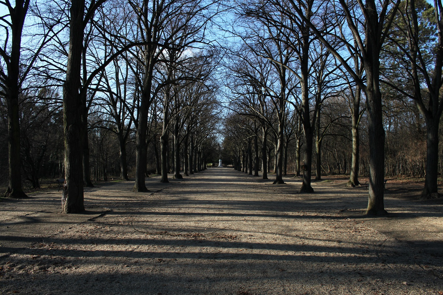 Erzsébet park