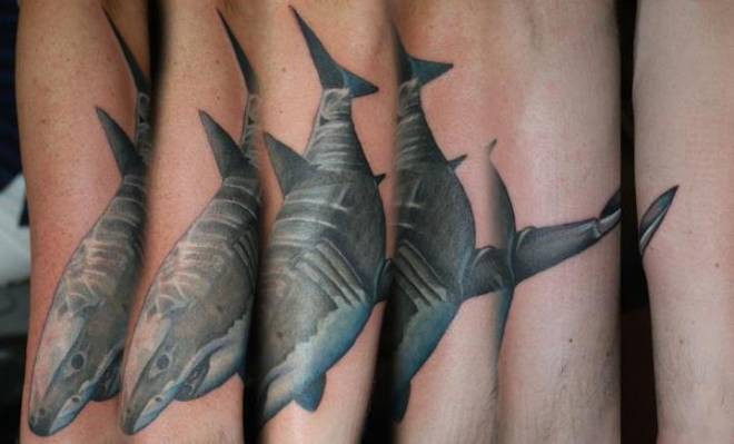 Great White Shark Tattoo by Krystof