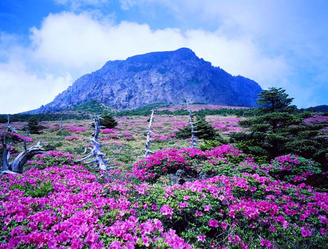 termeszet-13Dzsedzsu -sziget (Jeju-sziget)
