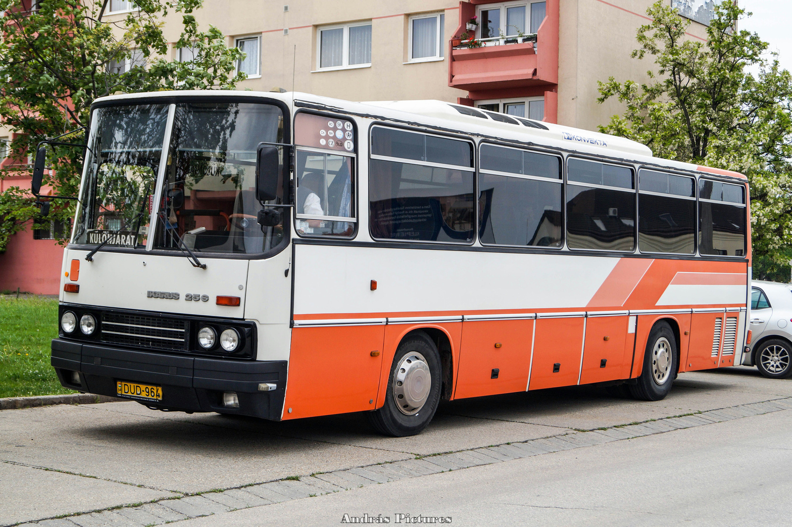 Ikarus 256 DUD-964