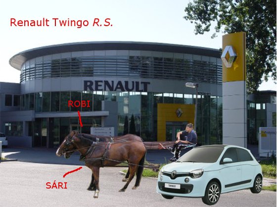 Twingo RS