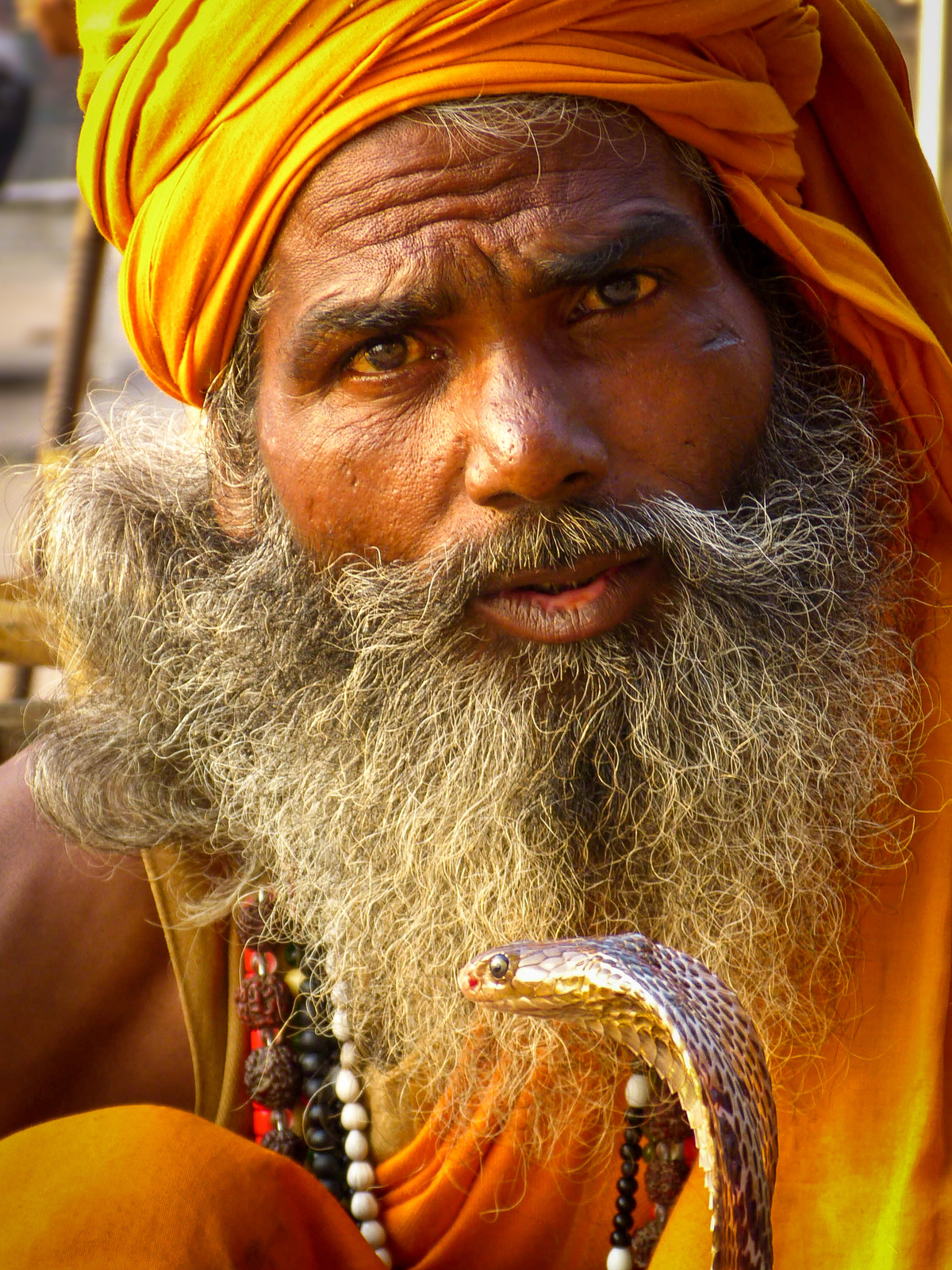 Kígyóbűvölő-Varanasi-India
