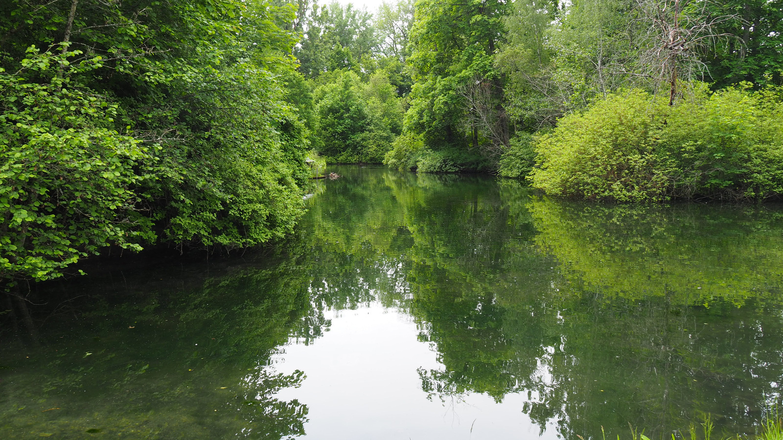 Németország, Donaueschingen, Schlosspark, SzG3