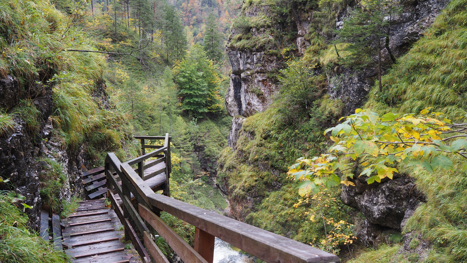 Erzhalden, Wasserlochklamm, SzG3