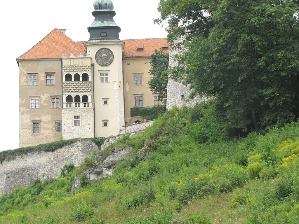Zamek w Pieskowej Skale, SzG3