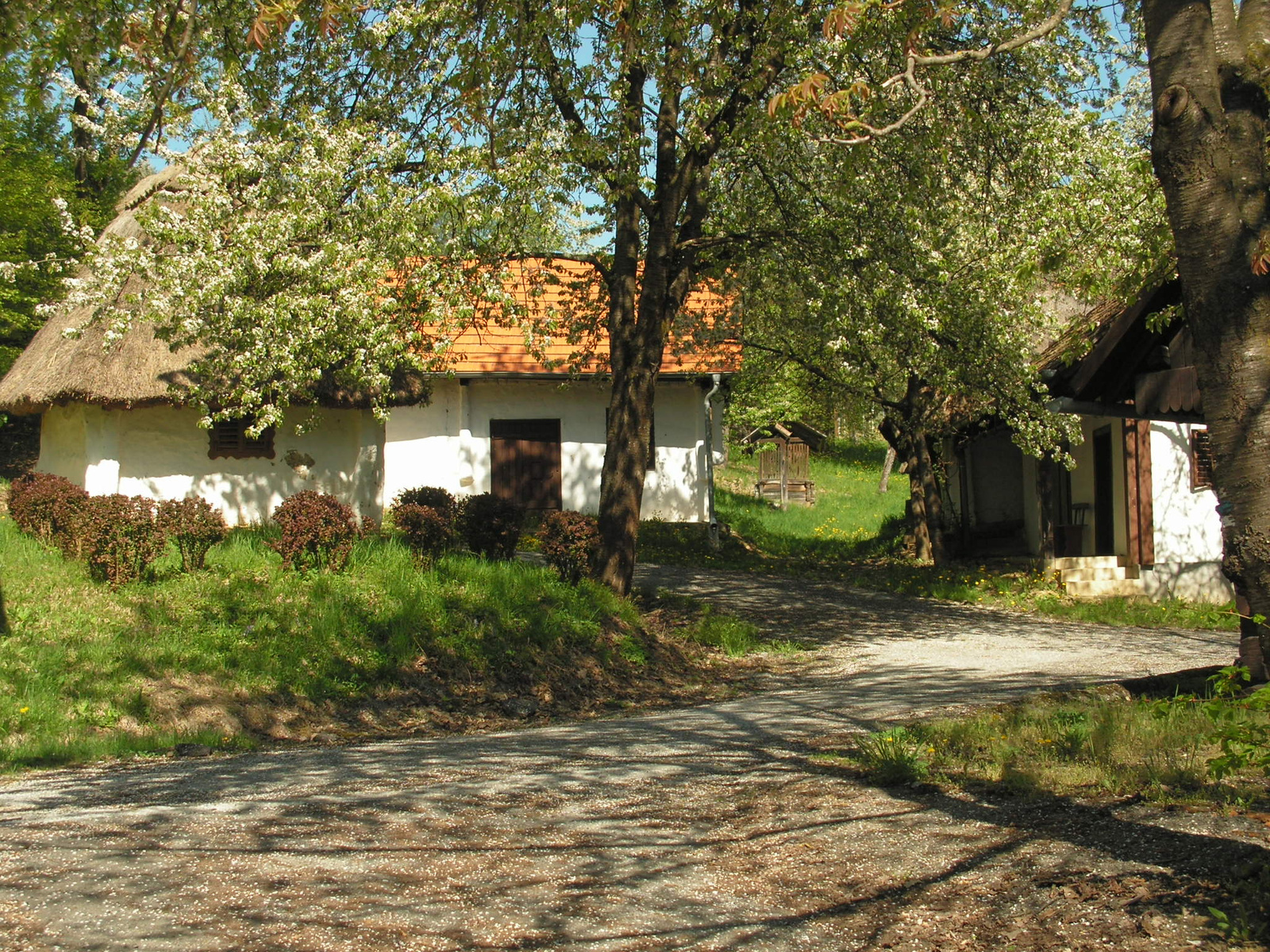 Heiligenbrunn (Szentkút), a történelmi pincesor, SzG3