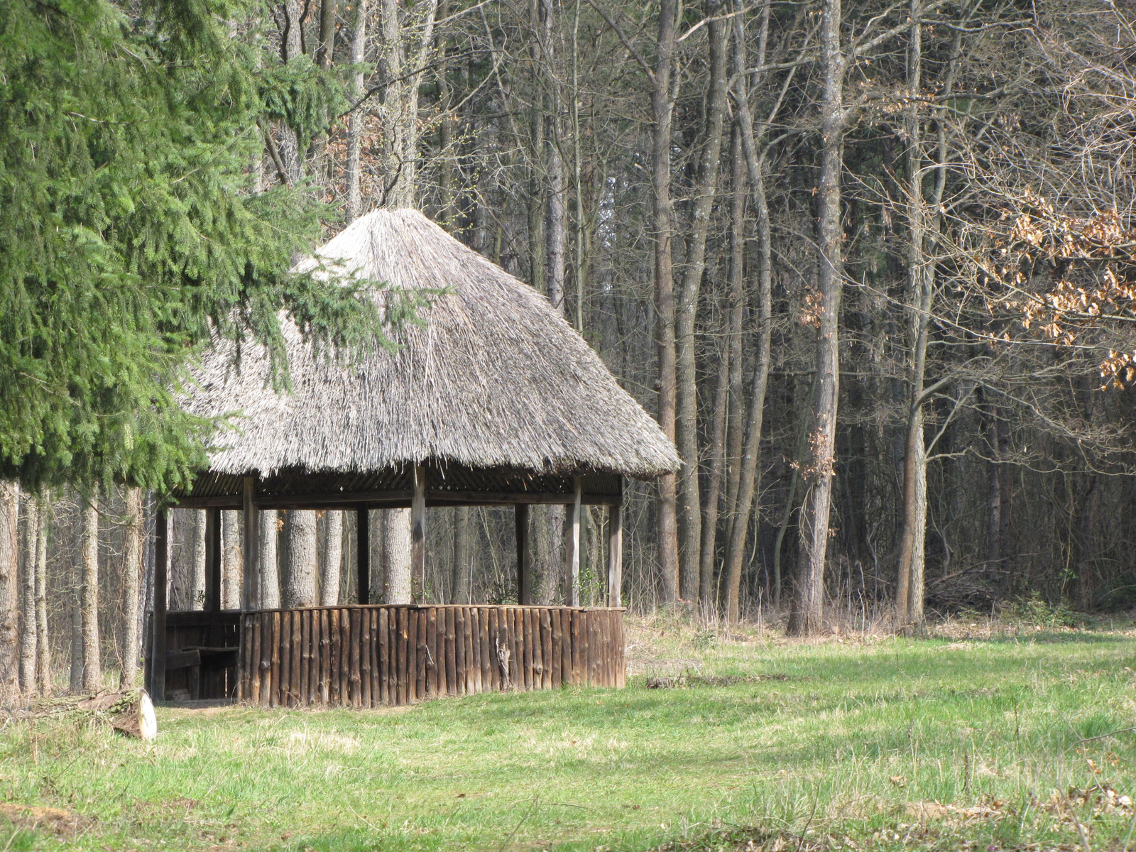 Gödöllő, az Arborétum, SzG3