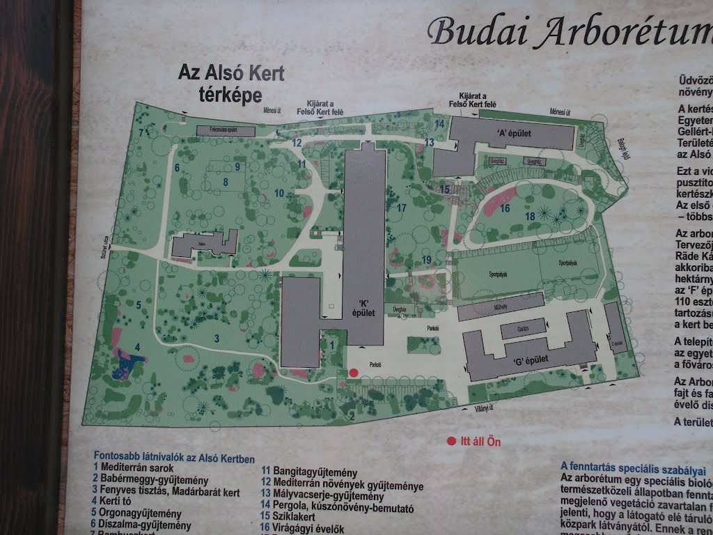 Budapest, Budai Arborétum, SzG3