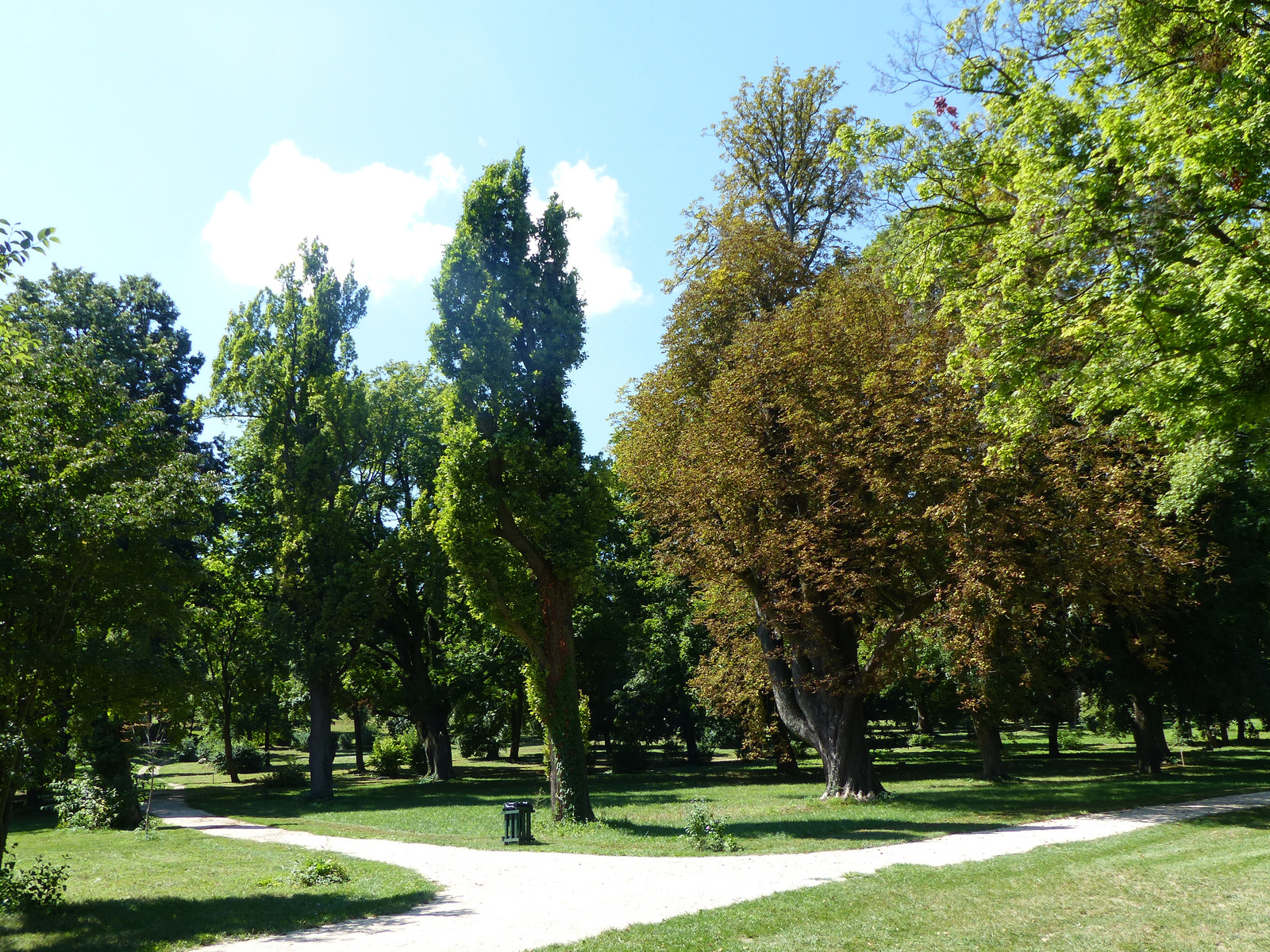 Fehérvárcsurgó, a Károlyi kastély parkja, SzG3