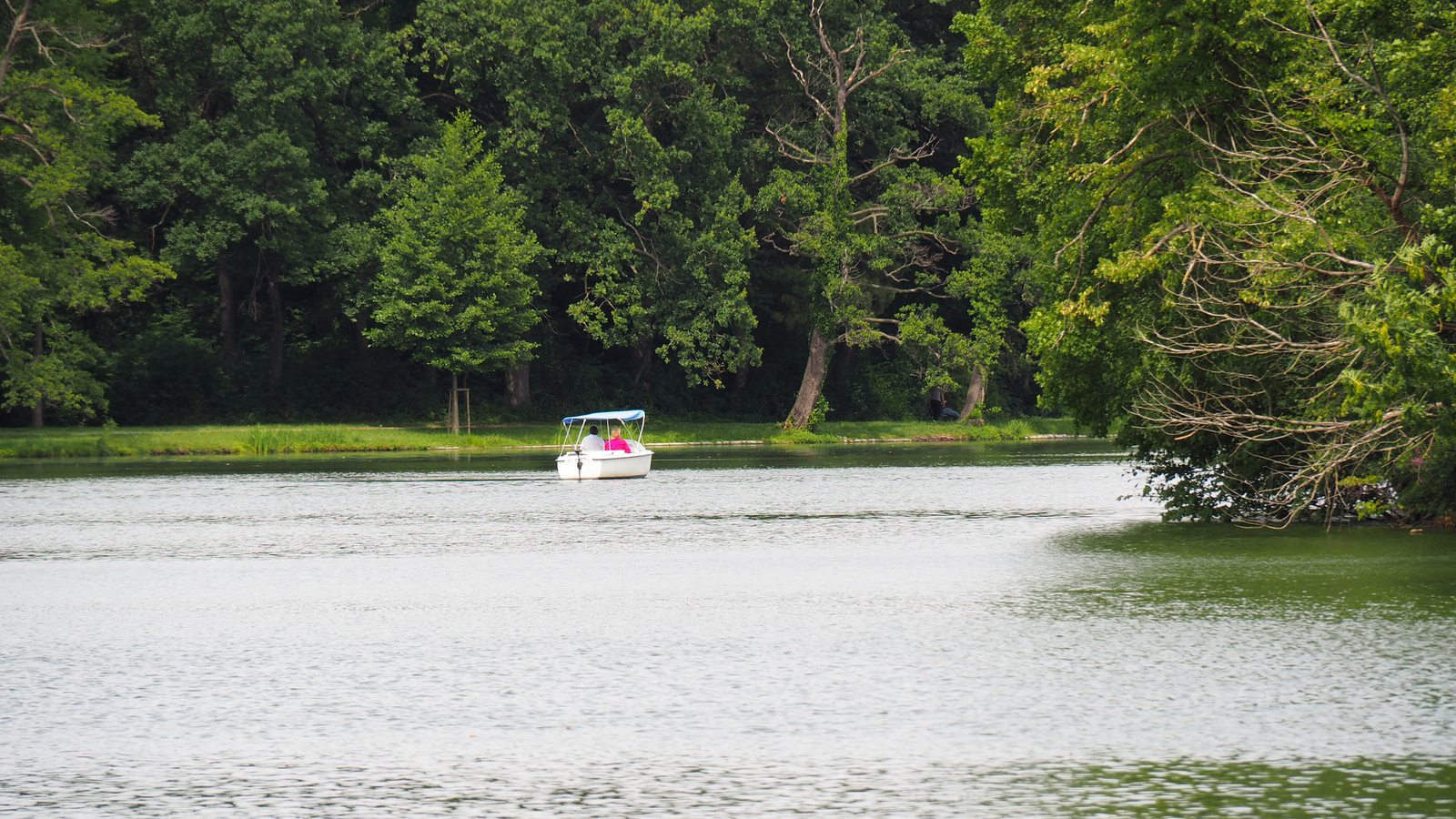 Laxenburg, Schlosspark, SzG3