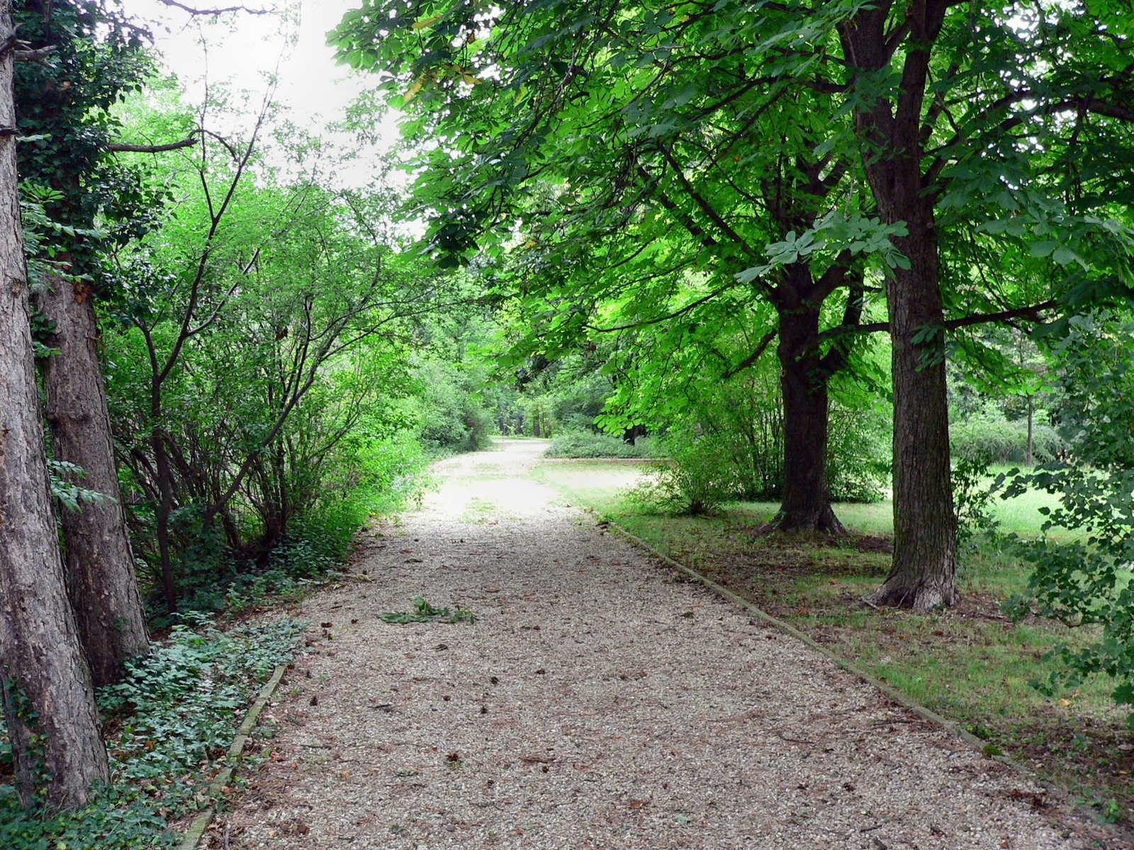 009-Noszvaj-Kastély park.