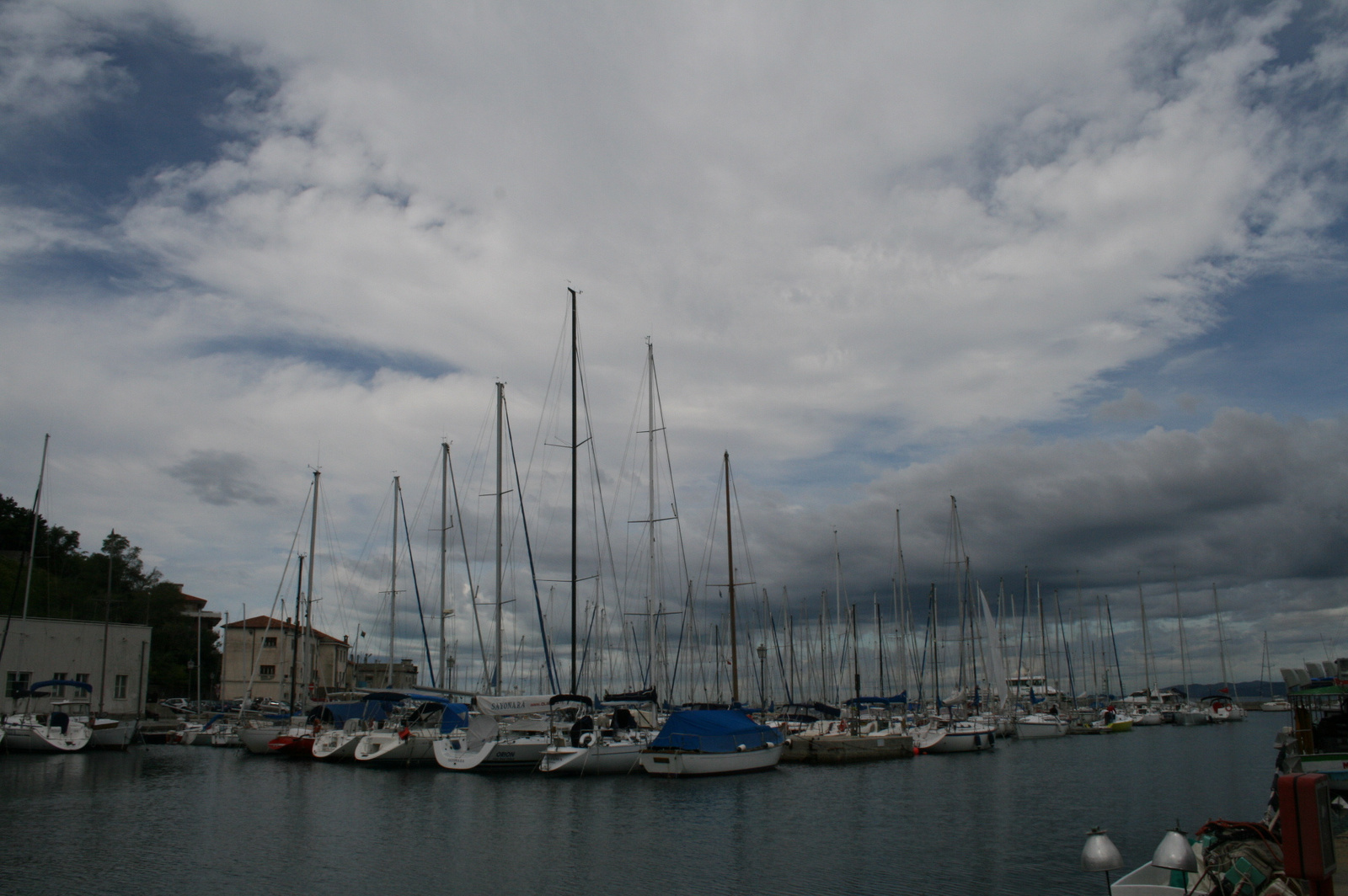 Kikötő (Muggia)