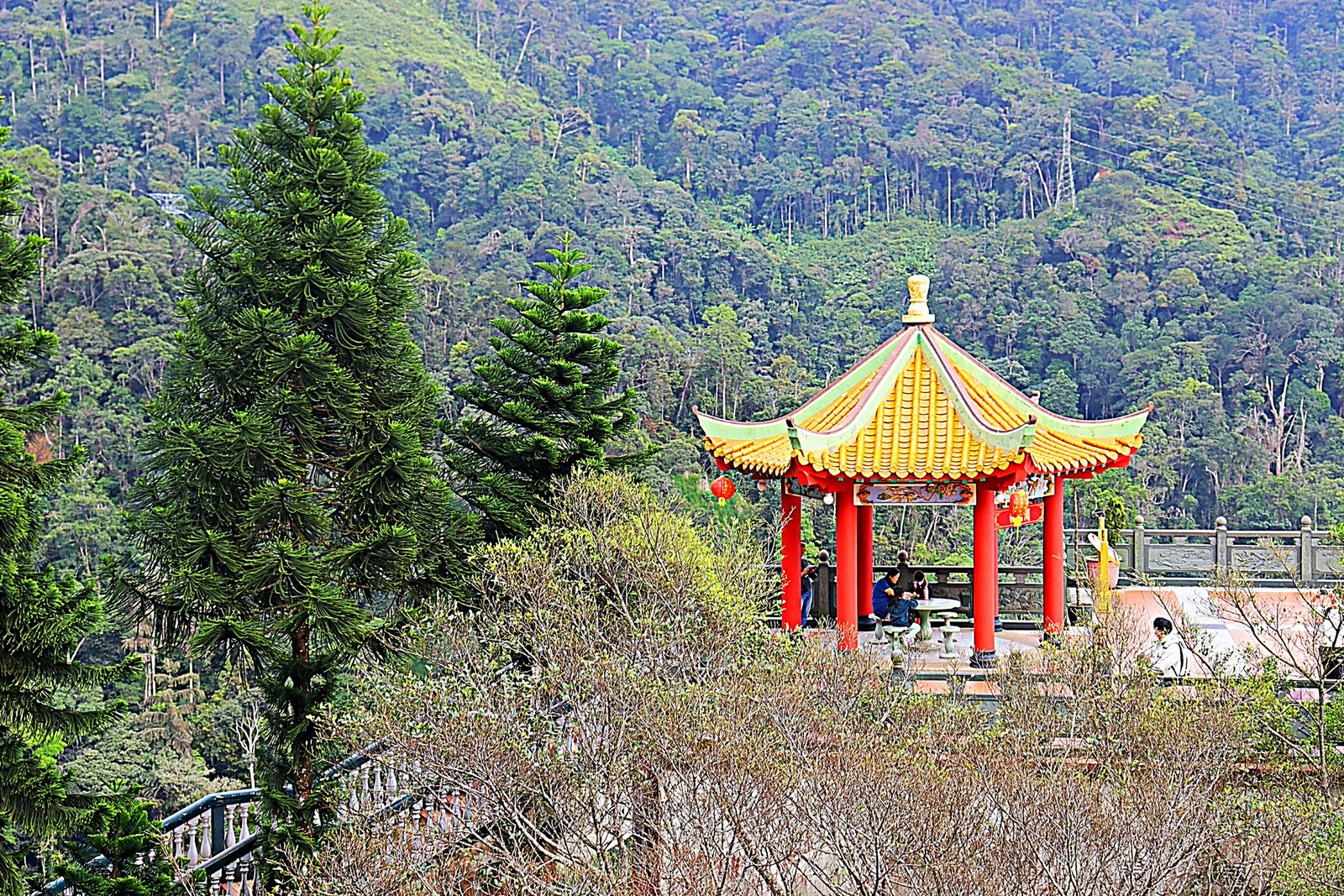 Erdei pagoda